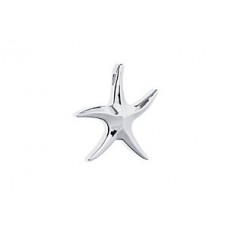 Sterling Silver Starfish Cremation Keepsake Jewelry